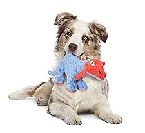 Dog with toy