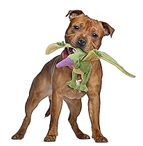 Dog with toy