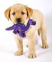 Puppy with toy