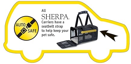 How to secure carrier in Car