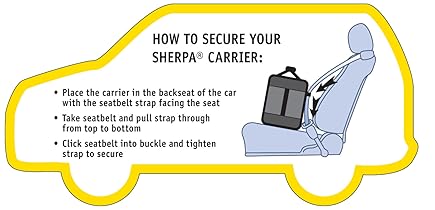 How to secure carrier in Car