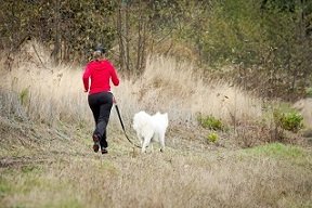 Buddy - jogging