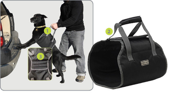 Outward Hound by Kyjen