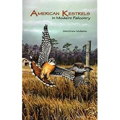 American Kestrels and Falconry