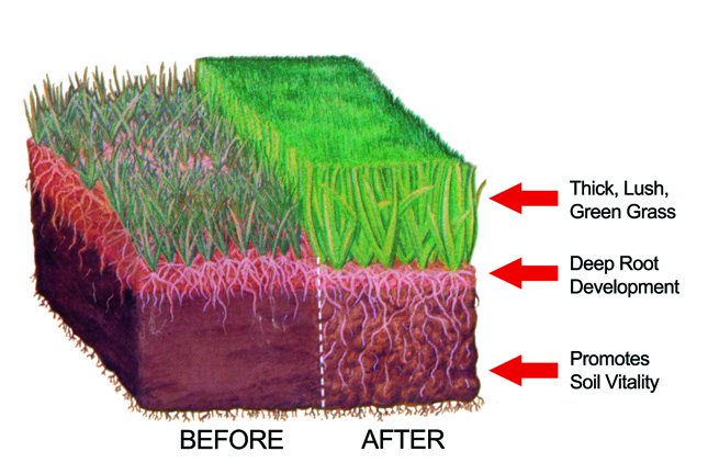 okayï¿½Nig Der Lï¿½Wen Streamcloud