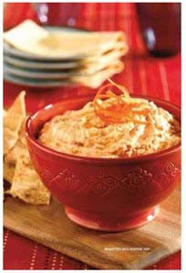 Oster Versa Performance Blender