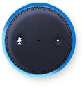 What is the Alexa Skills Kit?