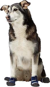 Healers Medical Booties