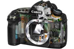 Canon EOS 5D highlights
