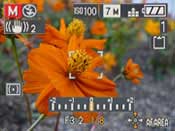 Panasonic FZ8 highlights
