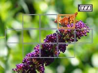 Panasonic FZ8 highlights