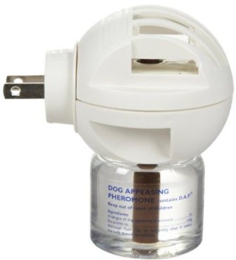 Comfort Zone Diffuser