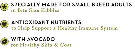 recipe features