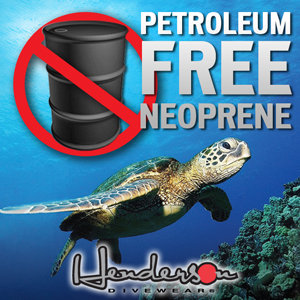 Insert Alt Text here