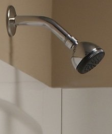 The American Standard easy clean showerhead features a finish that will withstand the test of time.
