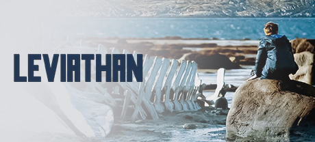 The Festival Collection