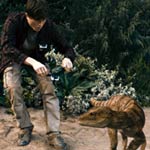The Dinosaur Project