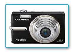FE300