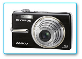 FE 300