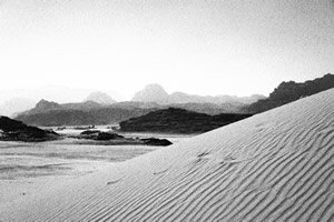 Express your creativity, choose from a wide range of effects