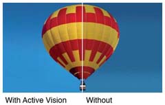 Active Vision 1