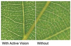 Active Vision 2