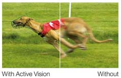 Active Vision 3