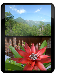 Coolpix P6000 Images