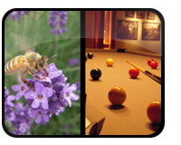 Coolpix S610c Images