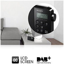 Scrolling LCD display