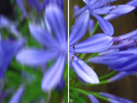 Detaillierte Bilder und Movies selbst bei maximaler Zoomeinstellung und wenig Licht