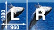 Side-by-Side-Format