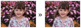 PRO FOCUS Modus FINEPIX HS30EXR