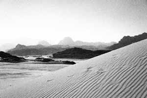 Lassen Sie Ihrer Kreativität freien Lauf – wählen Sie aus zahlreichen Kreativeffekten