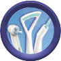 Oral-B OralCare Essentials