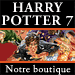 Harry Potter Store