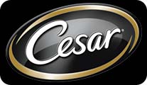 cesar