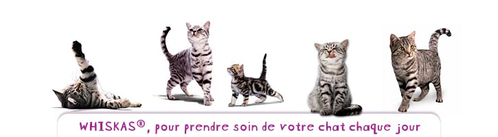 Whiskas