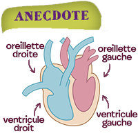 Notice jeu cuisine atroce