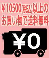 送料無料