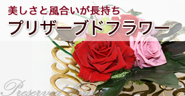 �t�����[