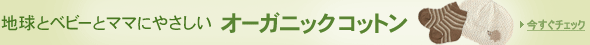 �n���ƃx�r�[�ƃ}�}�ɂ₳�����I�[�K�j�b�N�R�b�g��