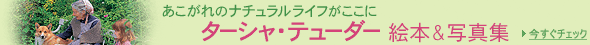 �^�[�V���E�e���[�_�[