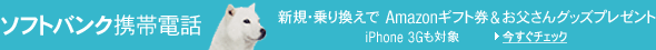�\�t�g�o���N�g�ѓd�b �V�K�E��芷����Amazon�M�t�g������������O�b�Y�v���[���g iPhone 3G���Ώ�