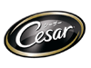 シーザー