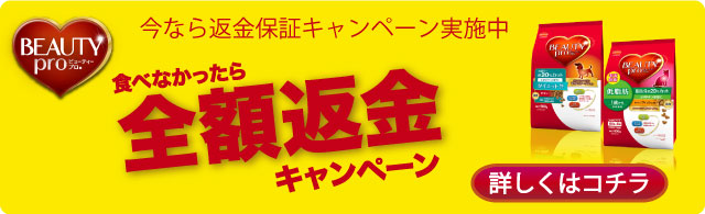 �r���[�e�B�v�� �X�g�A�@�ԋ��L�����y�[��