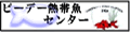 ピーデー熱帯魚センター