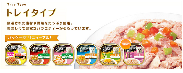 シーザー トレイタイプ