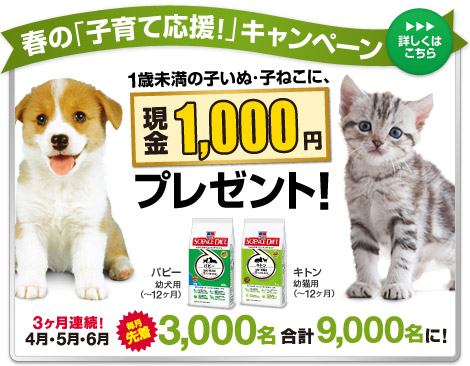 サイエンスダイエット