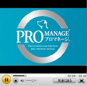 �v���}�l�[�W����ʏЉ��